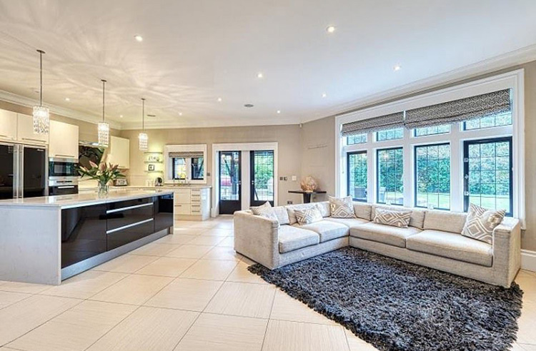 luxury kitchen and living room